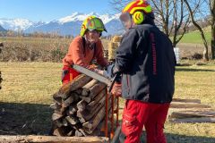 0d8321e1-9218-4c3f-b3cd-fed0aed635fa