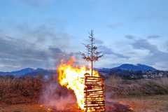 5c5dd8b0-88a3-4ce1-bacc-8d8dd396767b