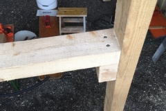 Foto-05.11.16-09-24-34