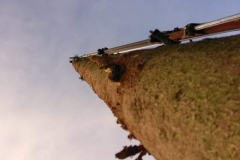 photo-2019-02-25-18-26-58-2