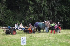 156870_170411609665769_169685363071727_342501_8194727_n