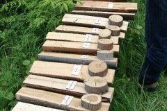 36261_170411679665762_169685363071727_342503_6899079_n