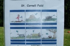 57987_170411836332413_169685363071727_342508_7440035_n