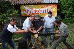 67100_170412272999036_169685363071727_342521_3903592_n