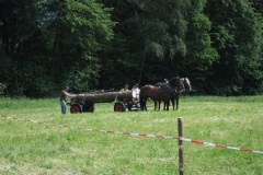 68102_170411906332406_169685363071727_342510_4342411_n